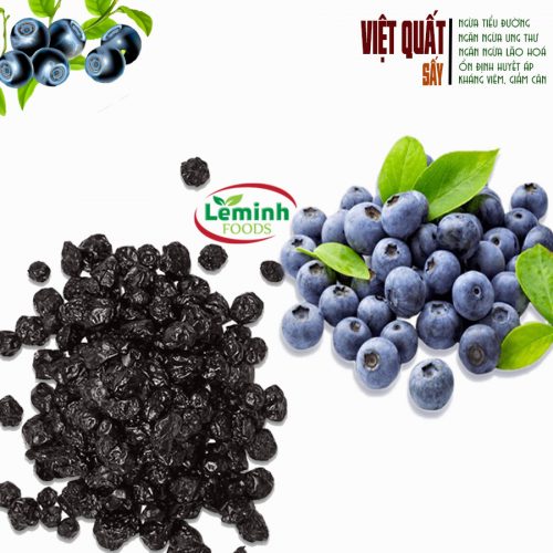 Việt quất sấy dẻo (Mỹ) - Hình ảnh 2