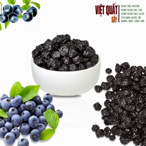 Việt quất sấy dẻo (Mỹ) - Hình ảnh 3